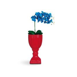 vaso P