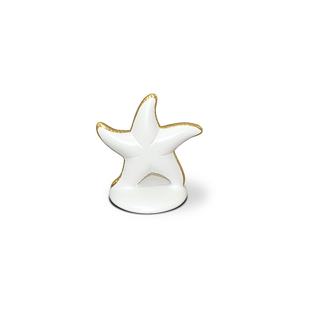 ESTRELA DO MAR BRANCO