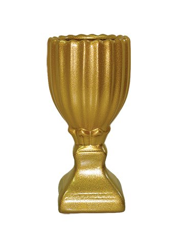 VASO P